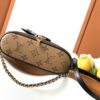 3 Louis Vuitton New Vanity Chain Pouch Handbag