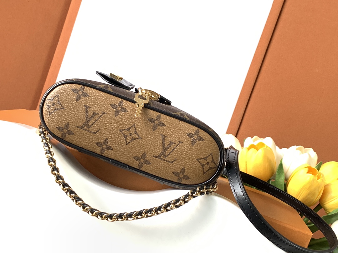 3 Louis Vuitton New Vanity Chain Pouch Handbag