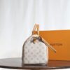 Louis Vuitton SPEEDY SOFT 30 DARK handbag M15108
