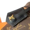 5 Louis Vuitton New Vanity Chain Pouch Handbag