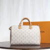 Louis Vuitton SPEEDY SOFT 30 DARK handbag M15108