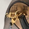 6 Louis Vuitton New Vanity Chain Pouch Handbag