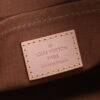 Louis Vuitton Multi Pochette Accessoires handbag collection; Pochette Accessoires clutch bag
