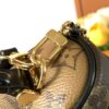 8 Louis Vuitton New Vanity Chain Pouch Handbag